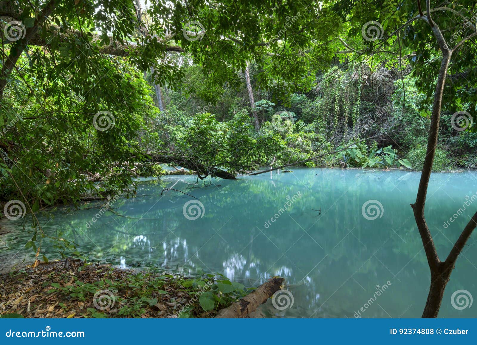 turquoise blue water in chiapas, mexico jungle
