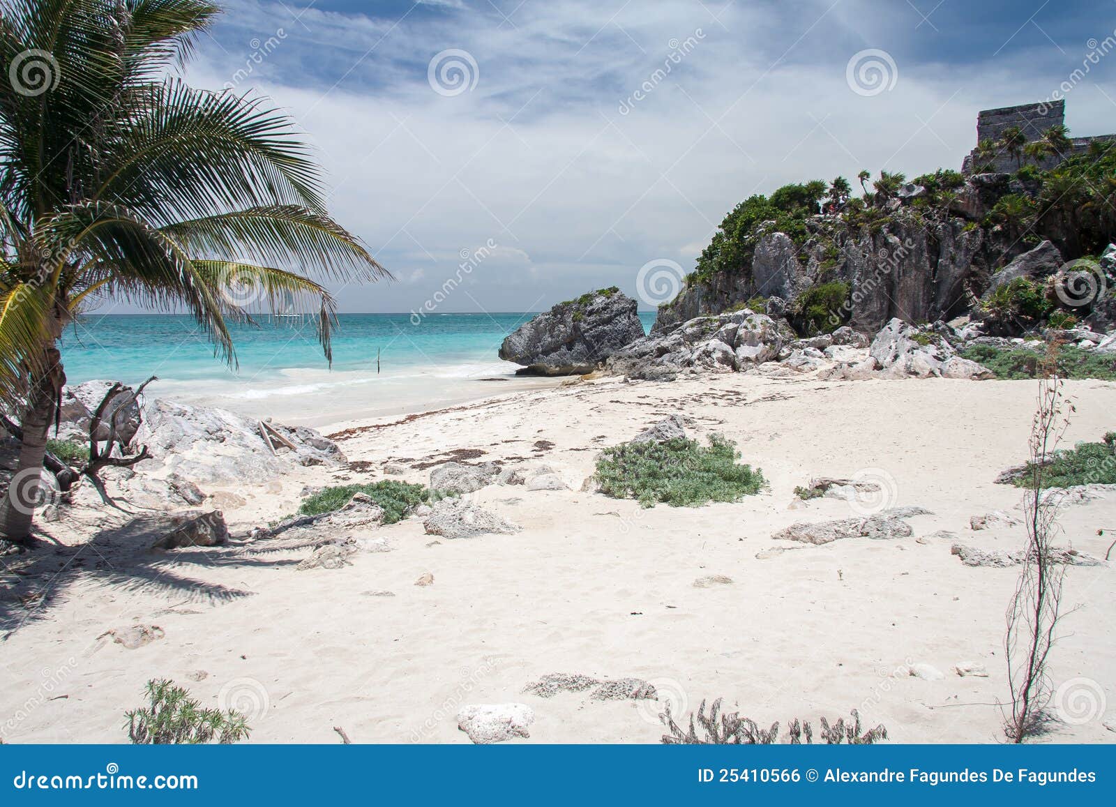 turtle beach tulum yucatan peninsula mexico