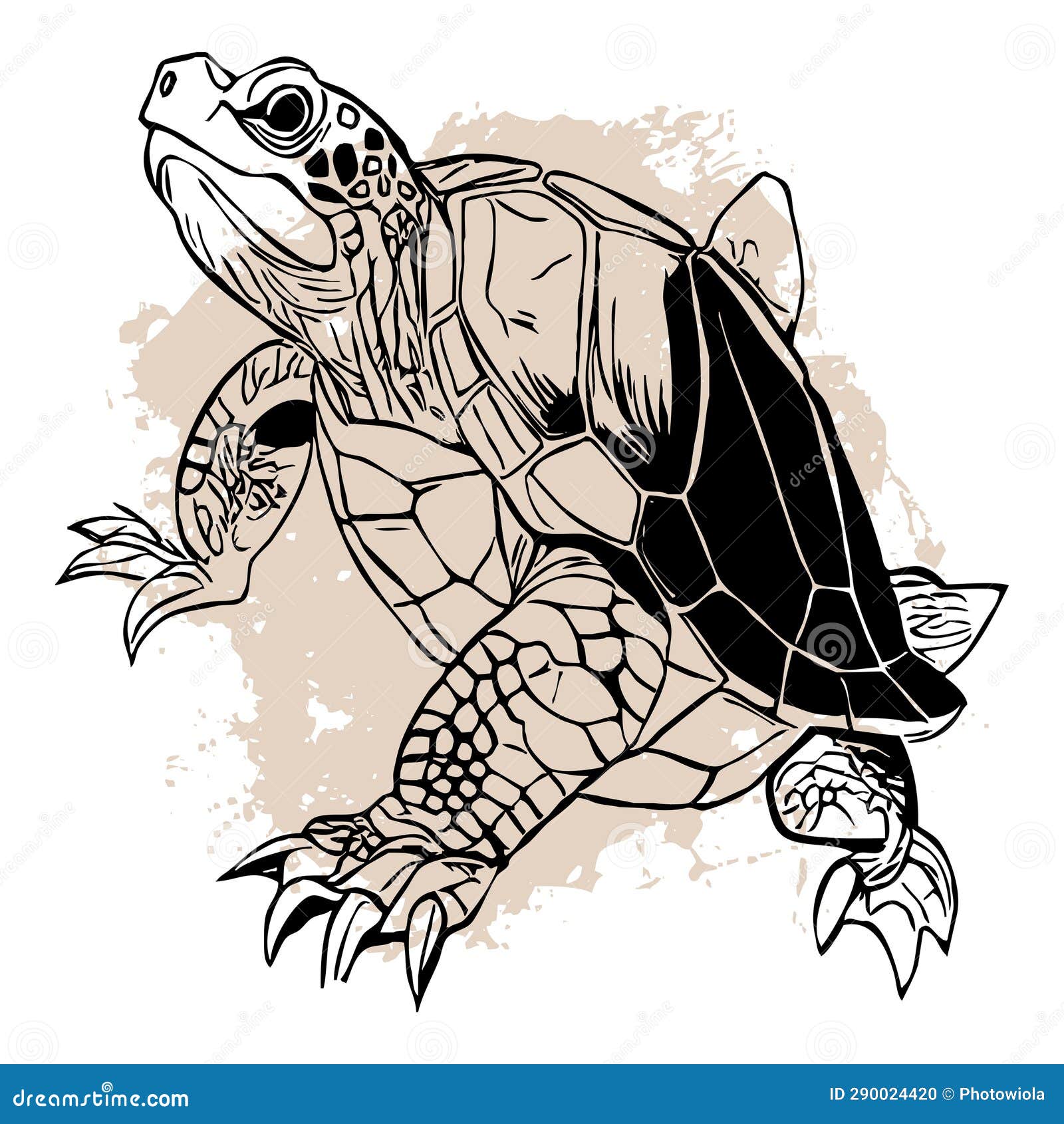 turtle . black and white line art. logo  for use in graphics.