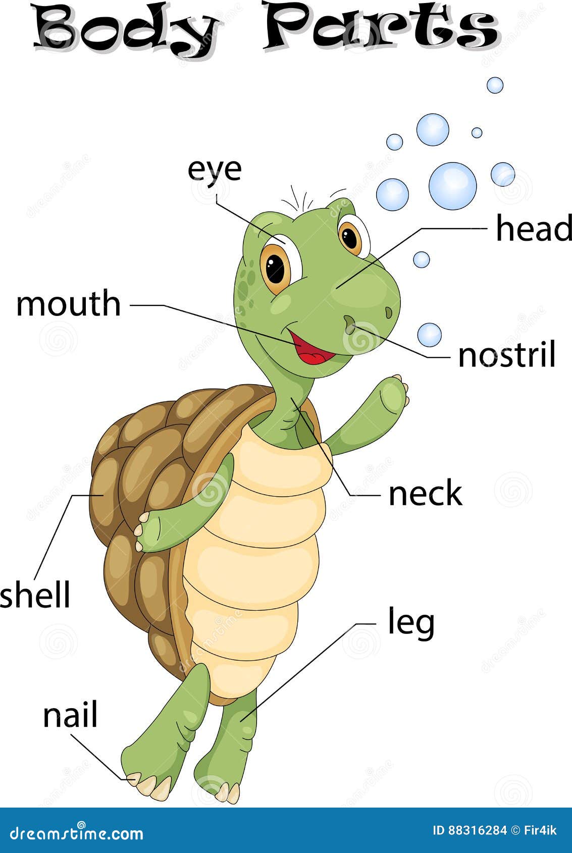 Animal Body Parts Stock Illustrations – 806 Animal Body Parts Stock Illustrations, Vectors & Clipart - Dreamstime Animal Body Parts Stock Illustrations – 806 Animal Body Parts Stock Illustrations, Vectors & Clipart - Dreamstime