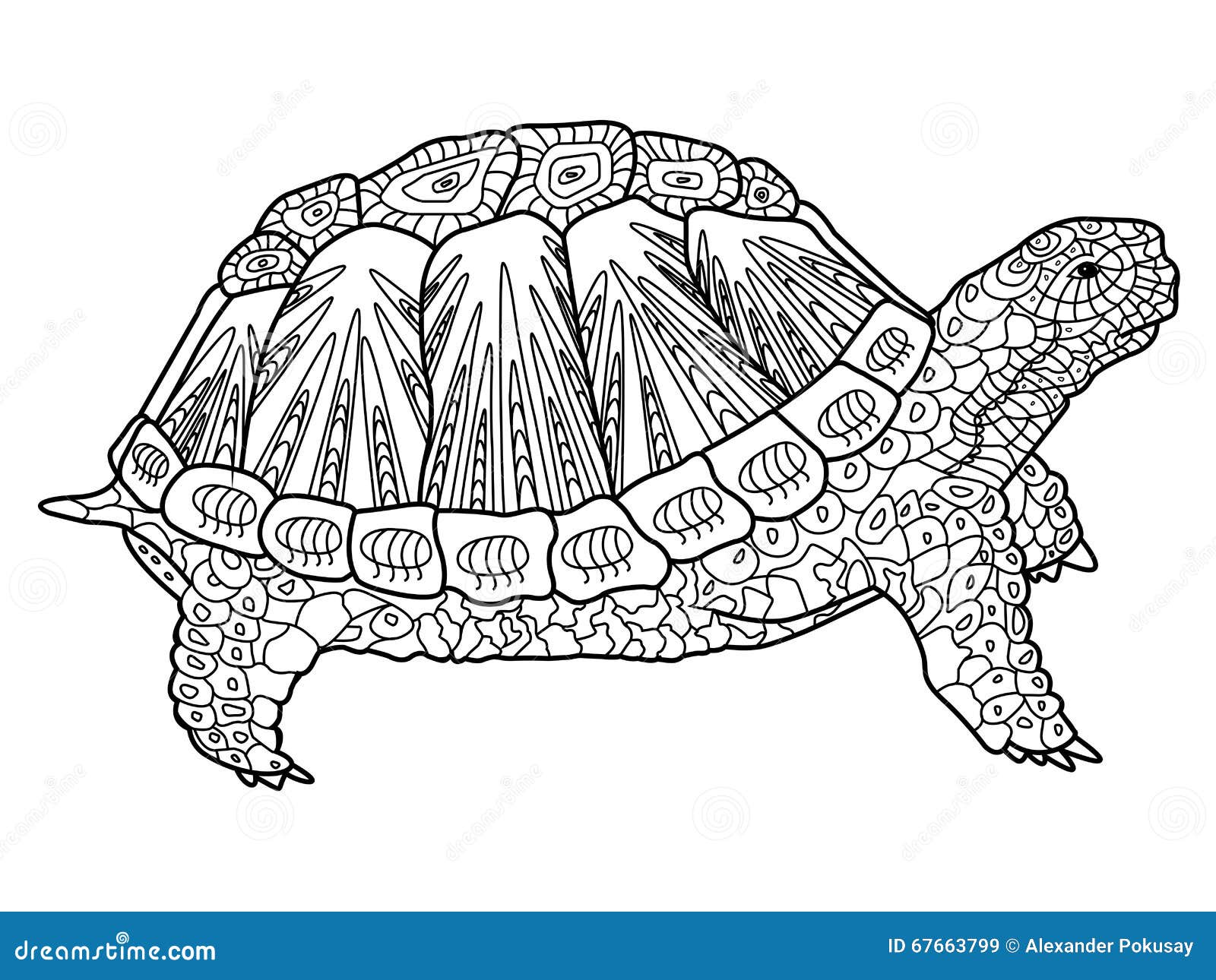 Premium Vector  A floating turtle coloring page turtles handdrawn for  relaxation and stress relief coloring book for adults with doodles  zentangle design elements