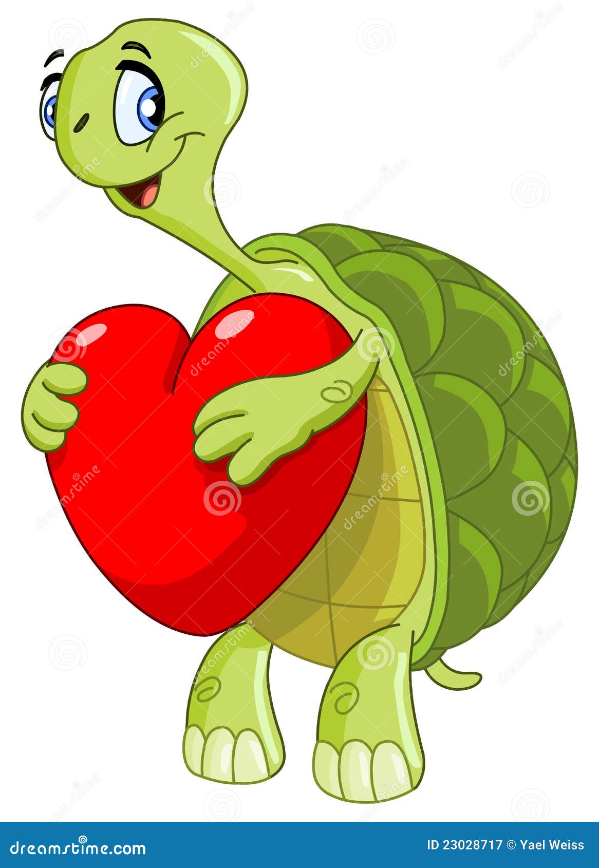 Turtle With Heart Royalty Free Stock Photography Image 23028717