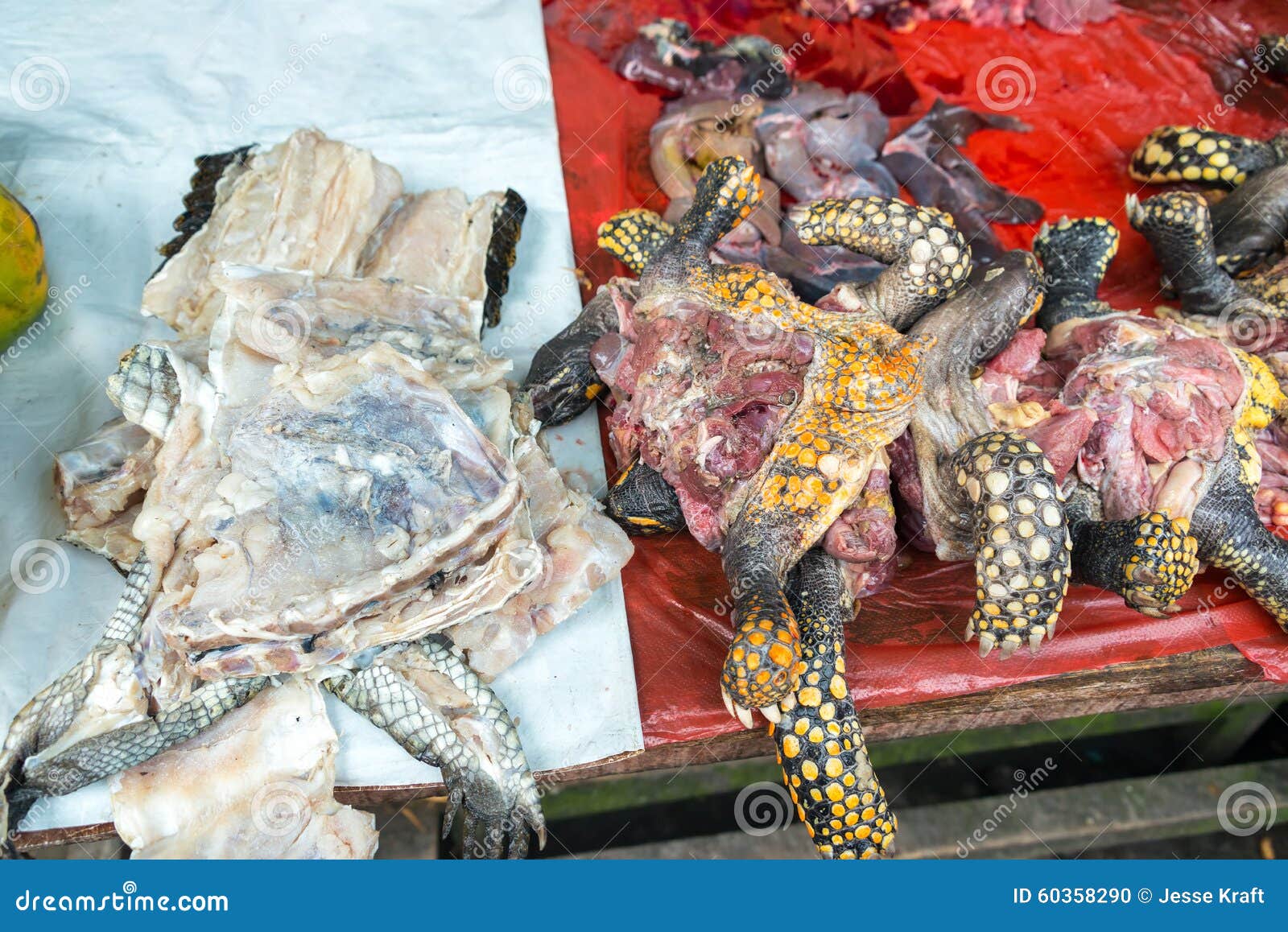 turtle meat in a market in iquitos, peru