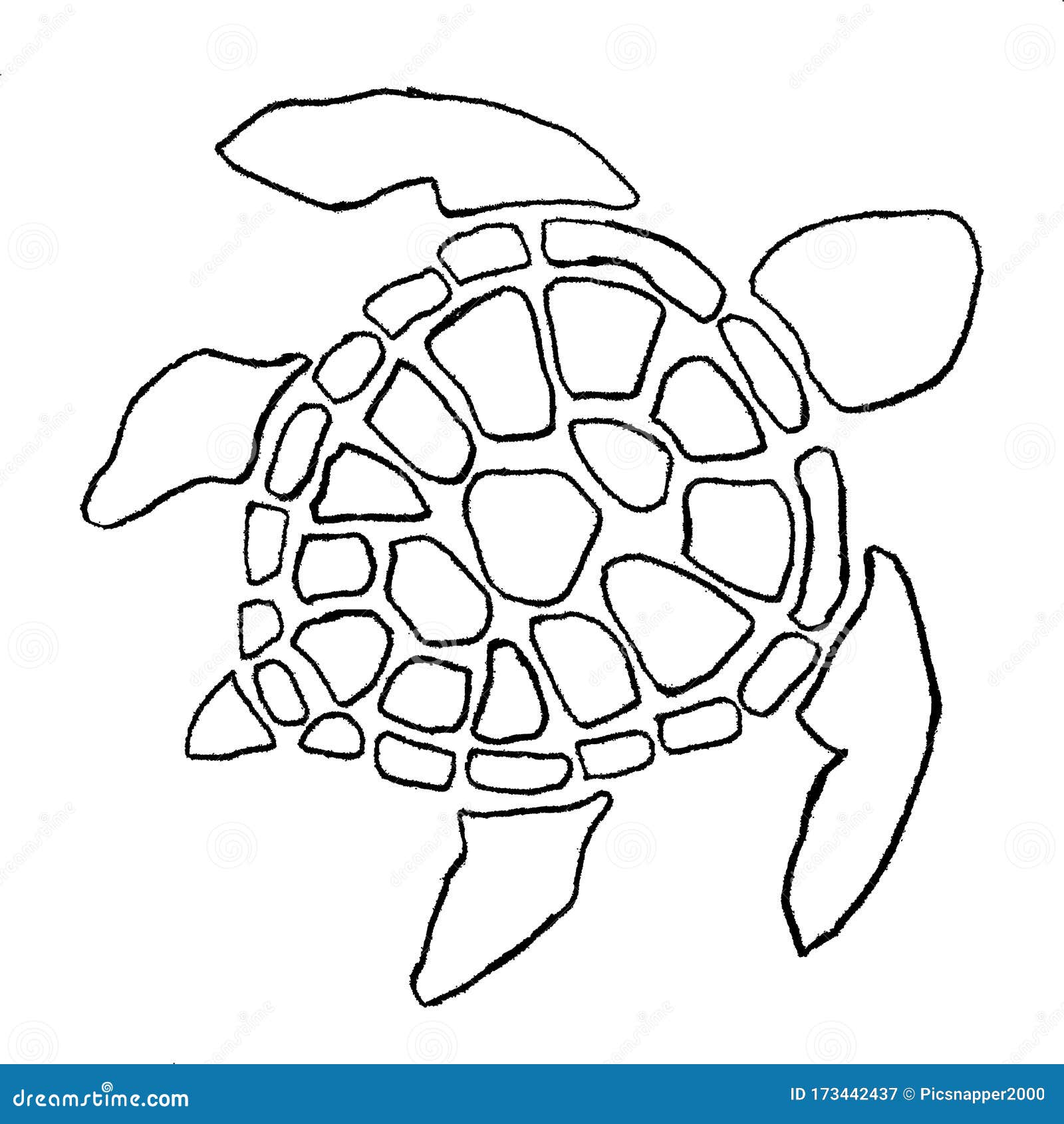 Turtle Outline Design Plain Black Stock Image Illustration of turtle
