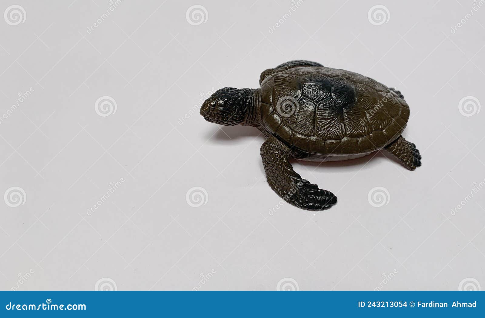 Turtle plastic toy stock photo. Image of invertebrate 243213054