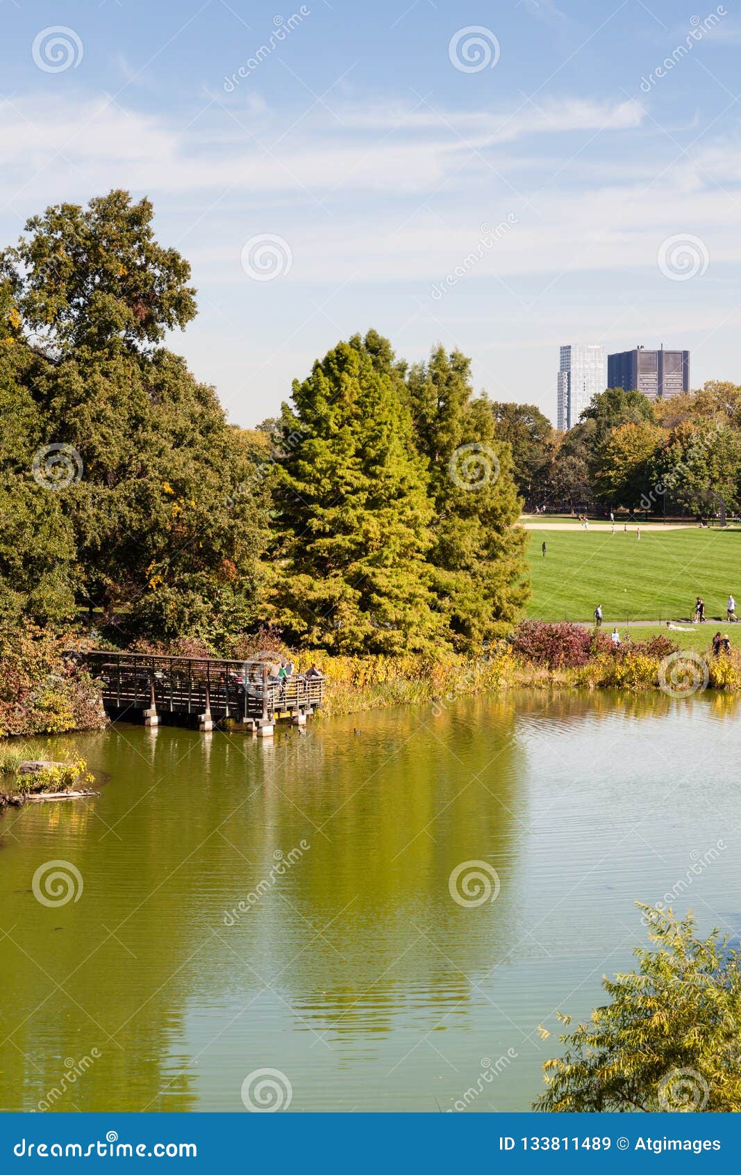 Turtle Pond in Central Park, New York City Redactionele Stock ...
