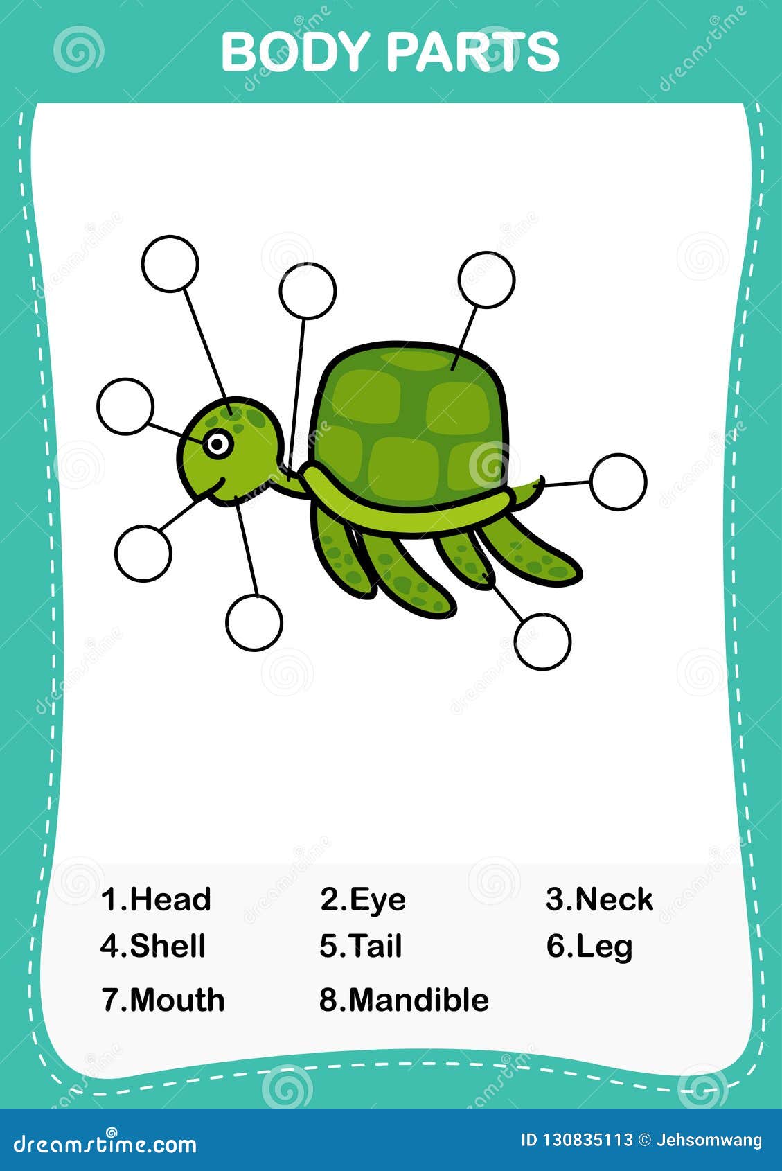 turtle vocabulary part of body,write the correct numbers of body parts