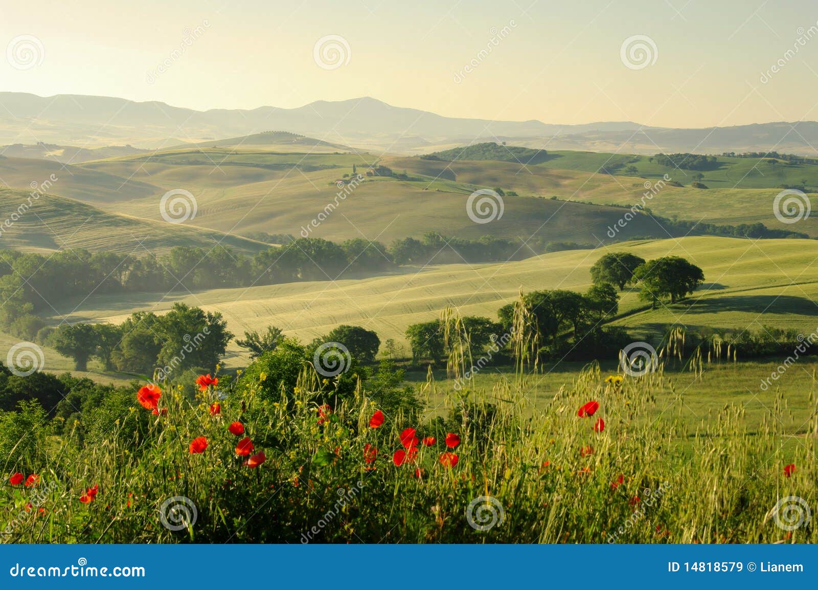 tuscany hills