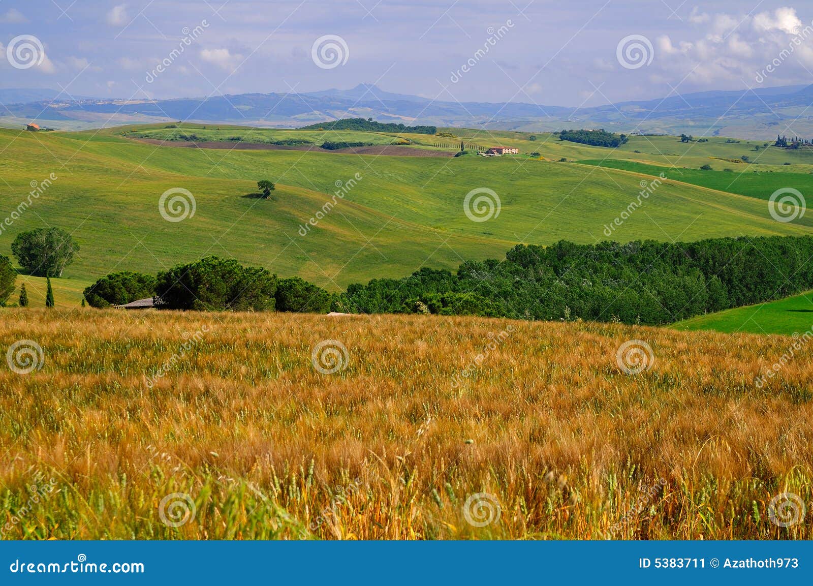 Tuscany June Countryside 2 Stock Image Image of fallow, mountain 5383711
