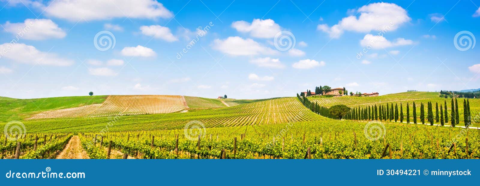 tuscany landscape panorama with vineyard in the chianti region, tuscany, italy