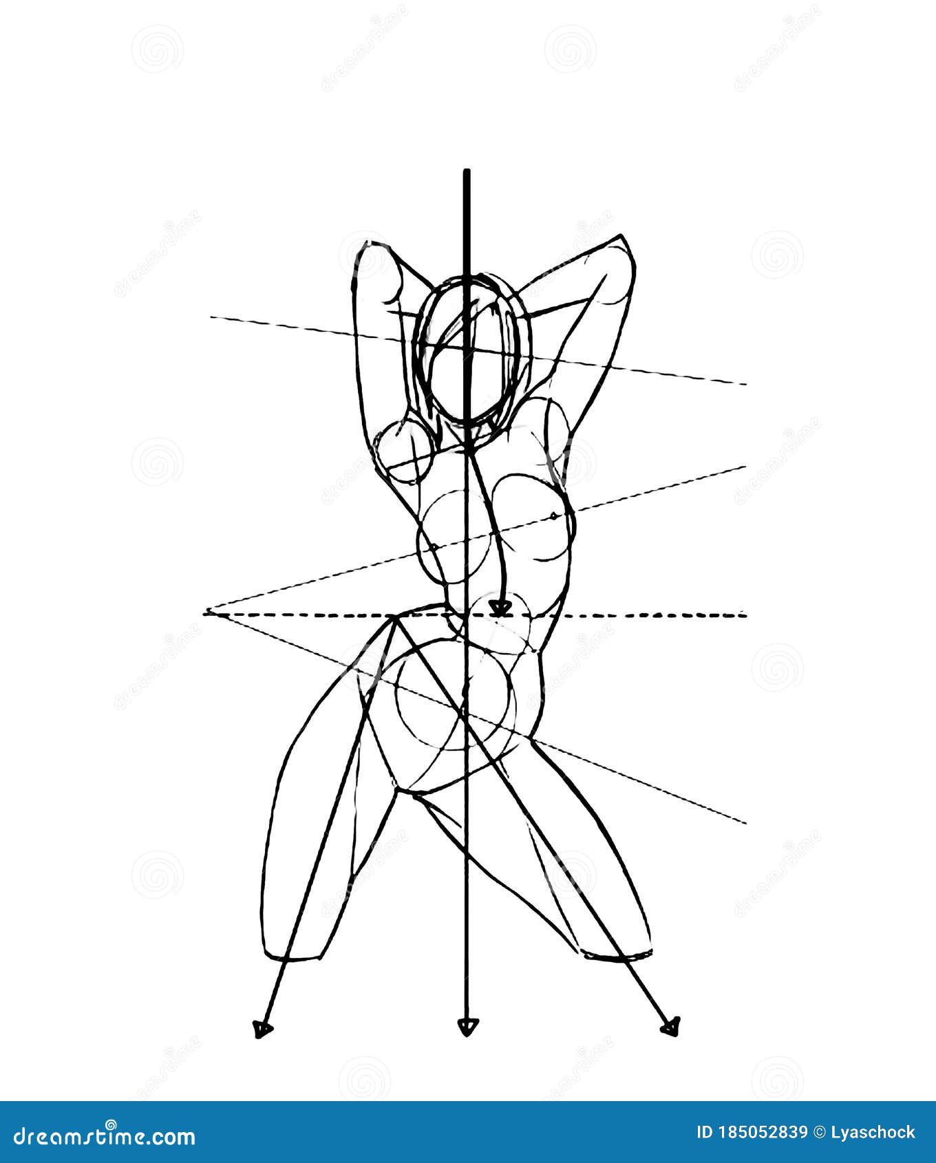 How To Draw A Human Body Woman - vrogue.co