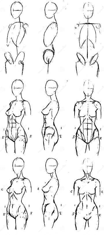 Tutorial of Drawing Female Body Drawing the Human Body Step by Step