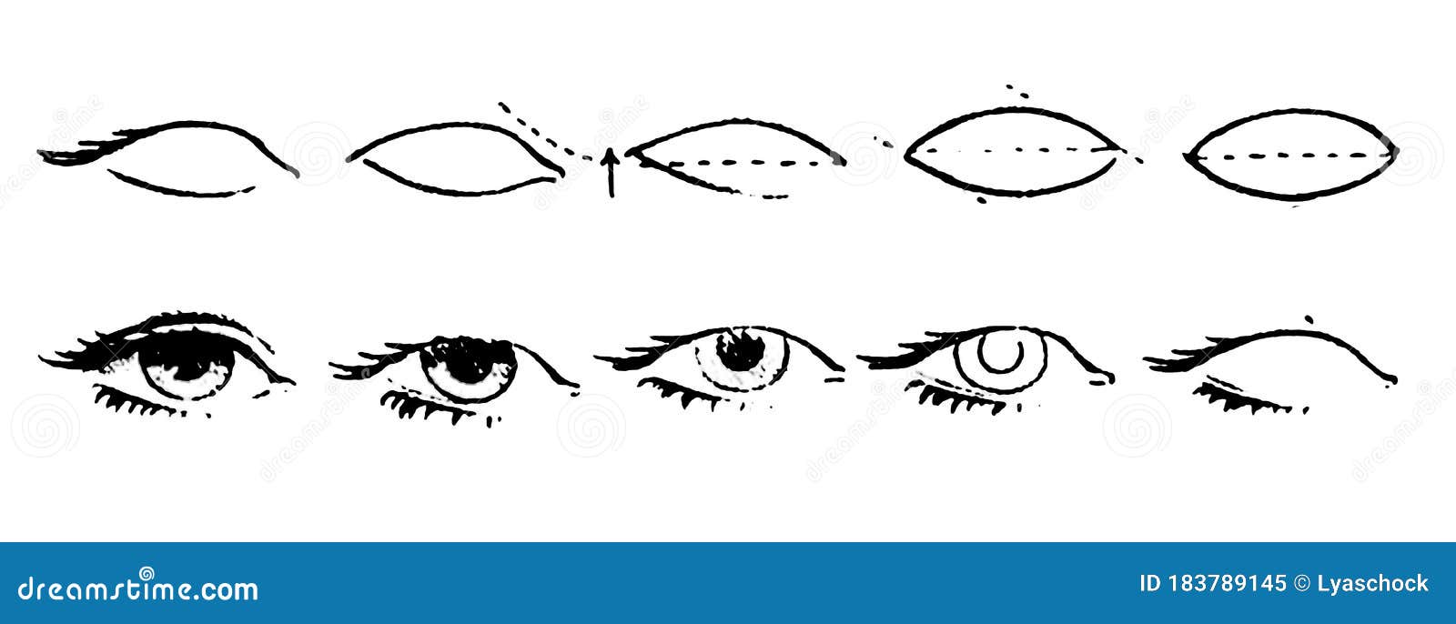Глаз чертеж. Схема глаза рисунок. Нарисовать глаз поэтапно. Схема как нарисовать глаз. Как научиться рисовать глаза карандашом схема.