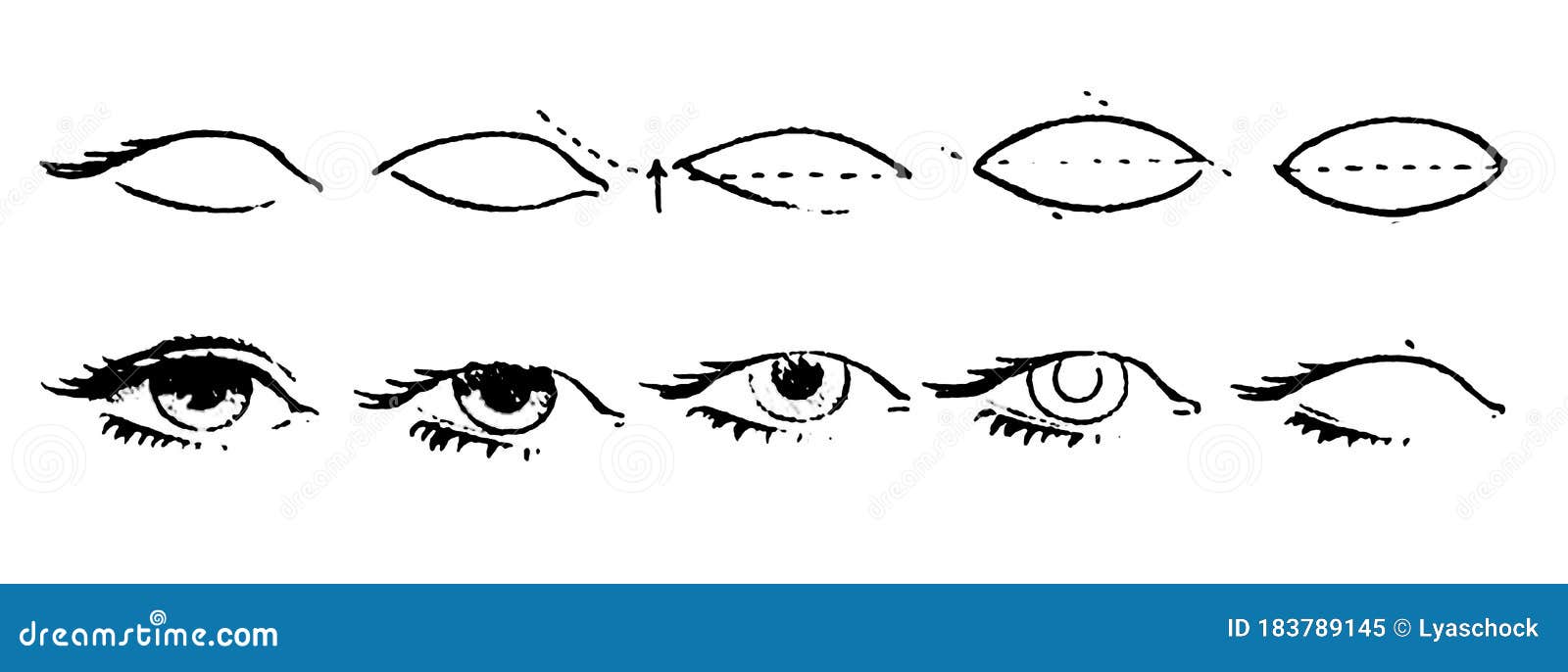 Tutorial of drawing human eye. Eye in anime style. female eyelashes