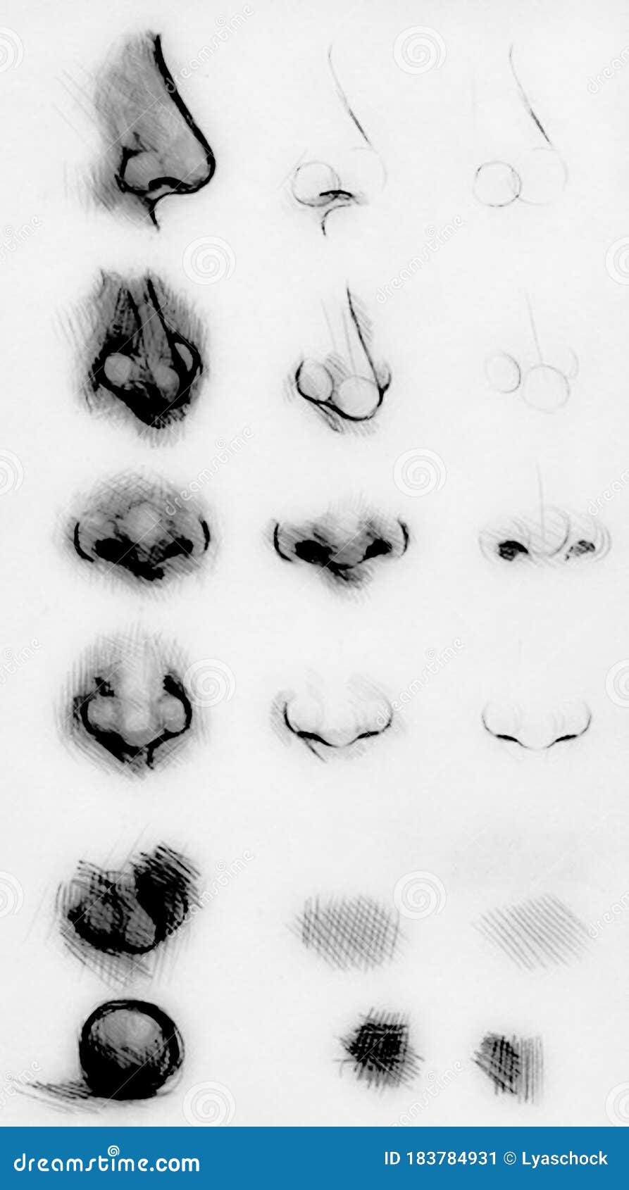 How to Draw a Nose in Just 5 Steps – Arteza.com