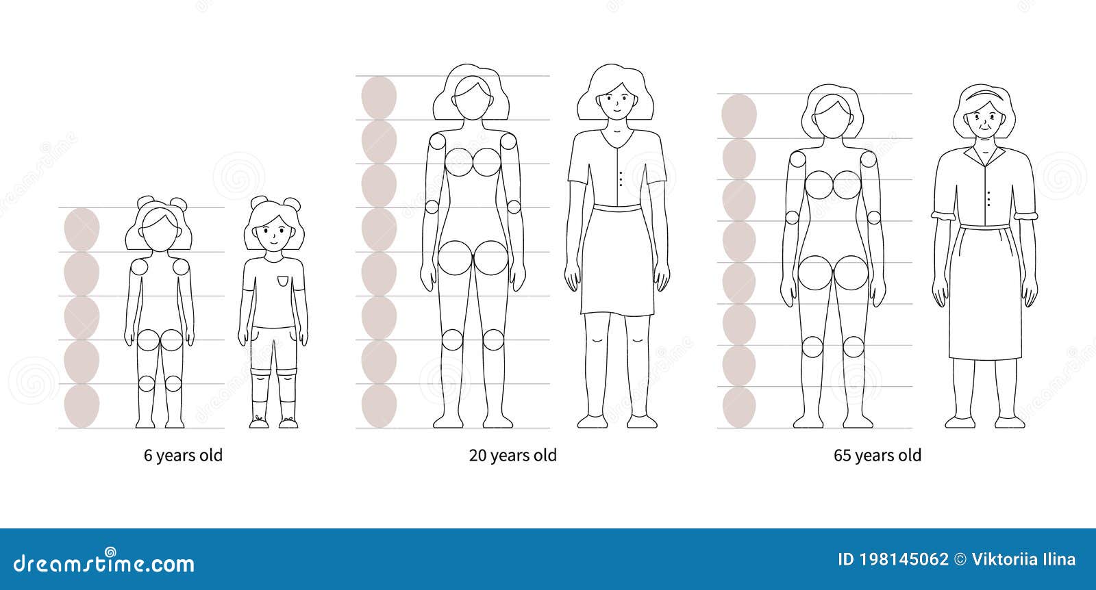 How to draw the human figure - Female Proportions