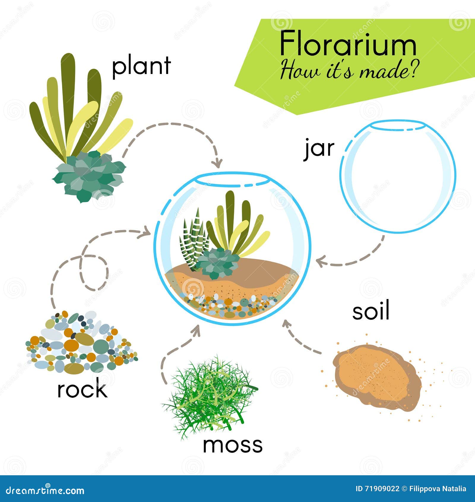 tutorial how to make florarium. succulents inside glass terrarium, s for florarium: jar, plant, rocks, moss, soil.