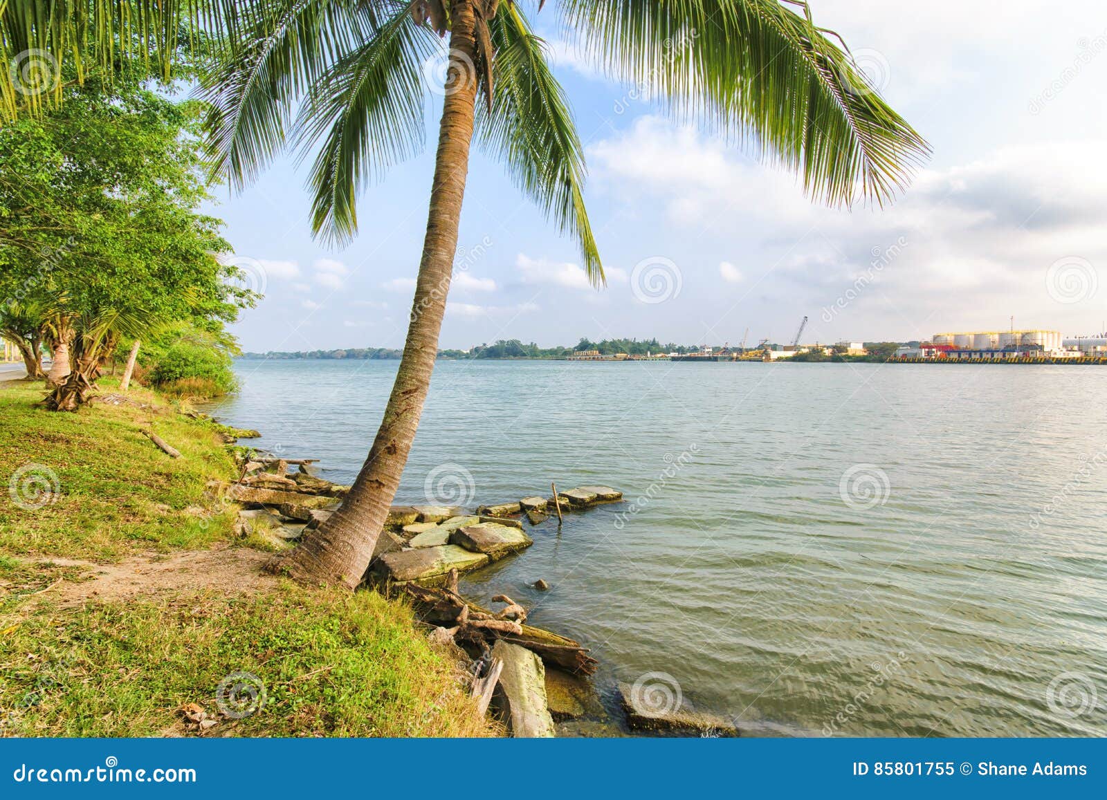 Tuxpan Stato Di Veracruz Messico Immagine Stock Immagine Di Palme Coconut 85801755