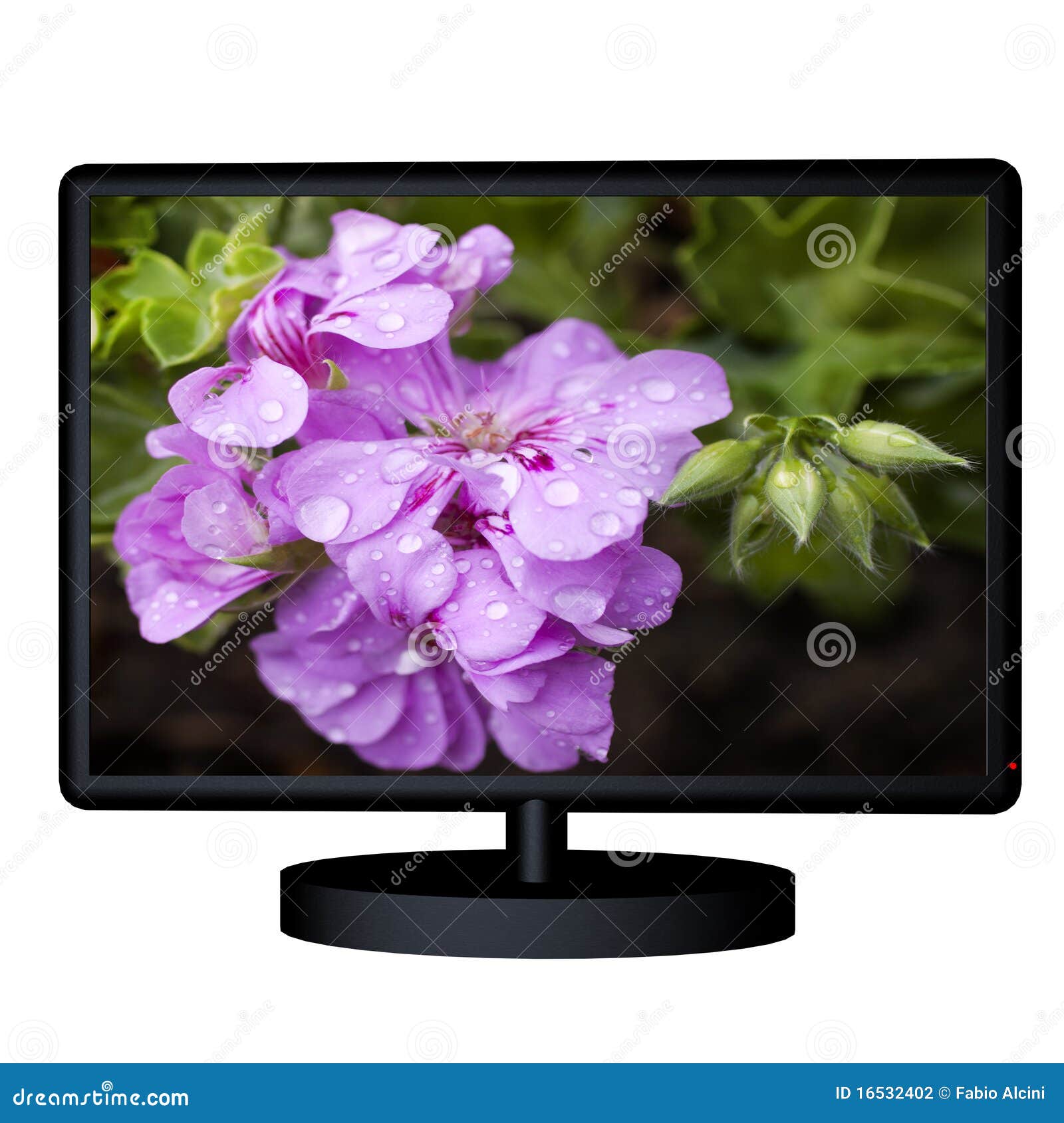 Tv with flower stock photo. Image of future, water, electronics 16532402