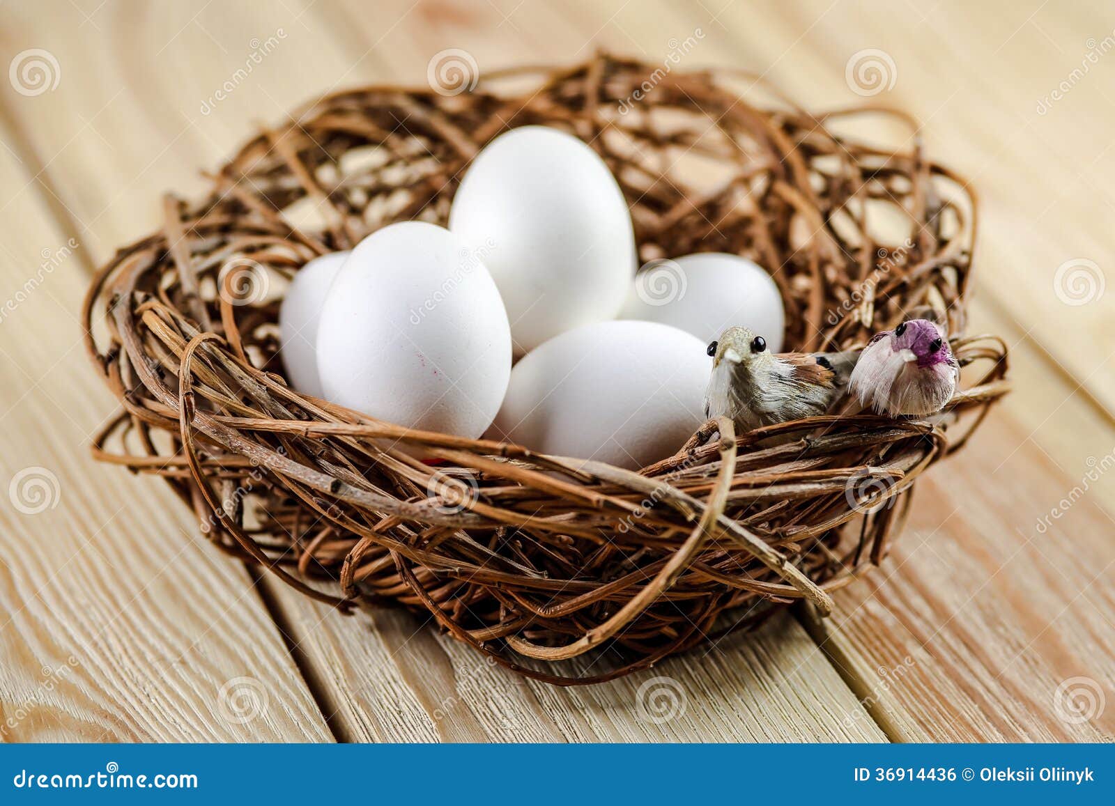 toewijding Wild monteren Twee Kleine Vogels Op Een Nest Met Eieren Stock Foto - Image of voedsel,  liefde: 36914436