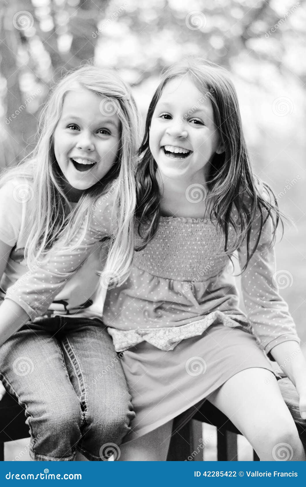 Twee Meisjes Het Lachen Stock Foto Image Of Pret Samen 42285422