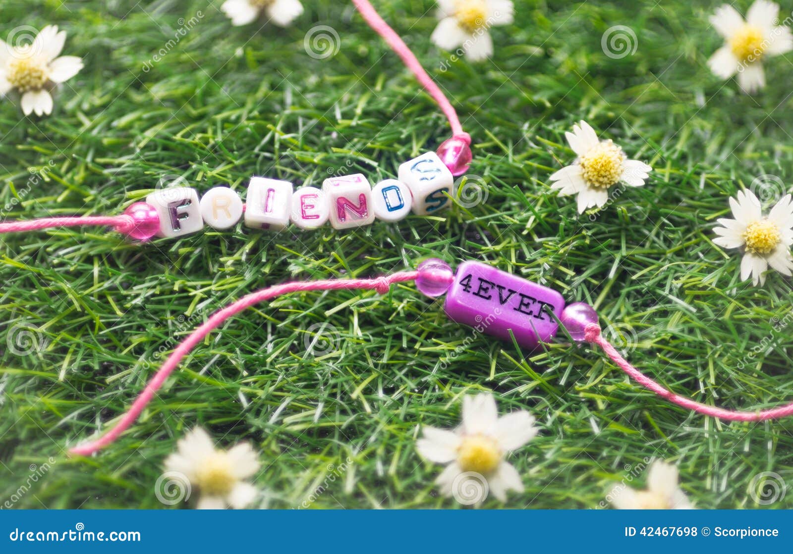 Twee vriendschapsarmband op gras onder bloemen