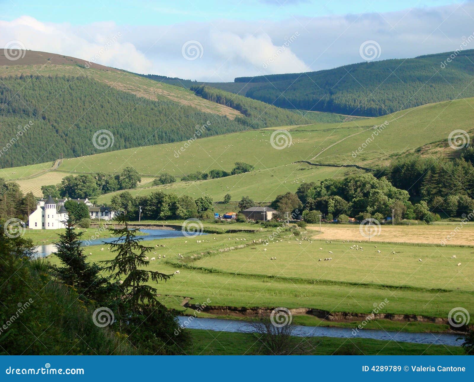 Tweed valley stock image. Image of scottish, bucolic, relaxing 4289789