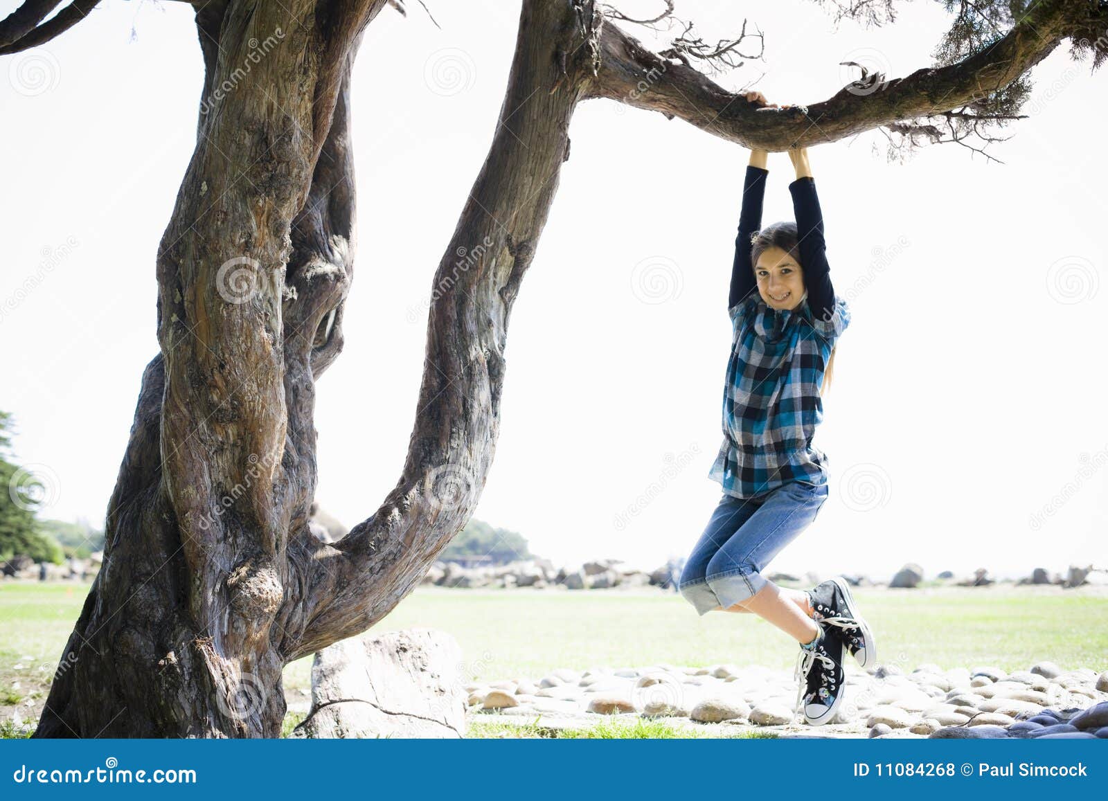 Tween Girl Swinging from Tree Branch Stock Photo Image of female