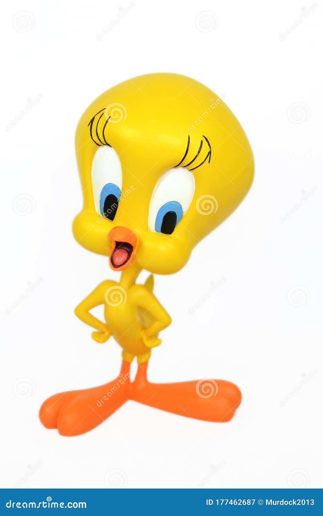 https://thumbs.dreamstime.com/z/tweety-making-one-his-poses-studio-shot-famous-white-isolated-background-177462687.jpg
