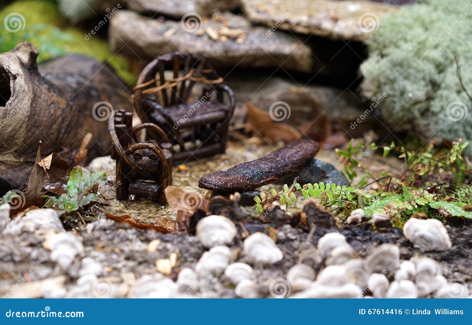 Twig Fairy Garden Furniture Stock Photo Image Of Outdoor Moss