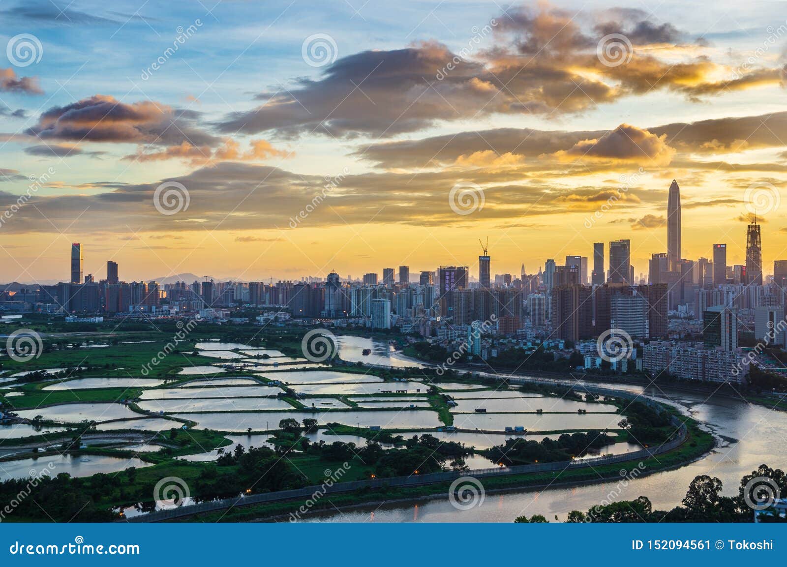 the twilight city
