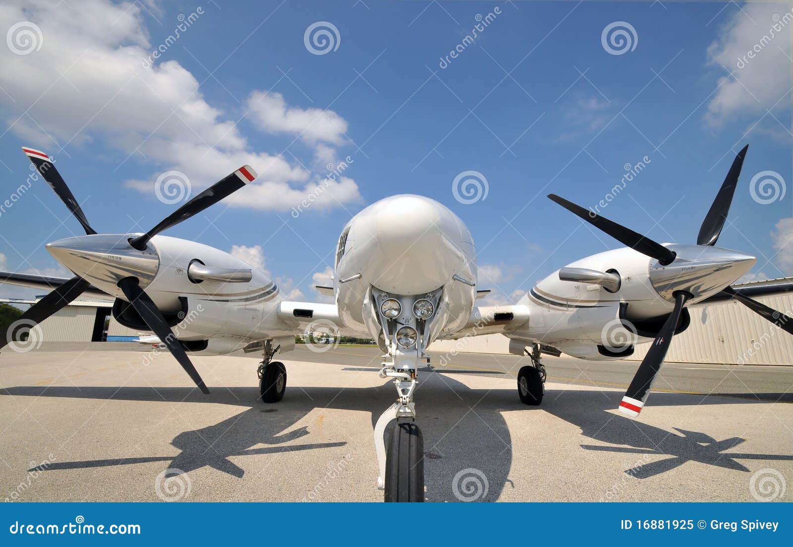 Twin Engine Piaggio P.180 Avanti Aircraft With Nose Canards On Approach