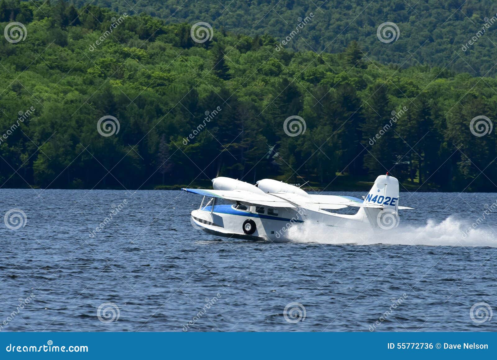 Twin Engine Seaplane Taking Off Editorial Photo Image of trees, speed