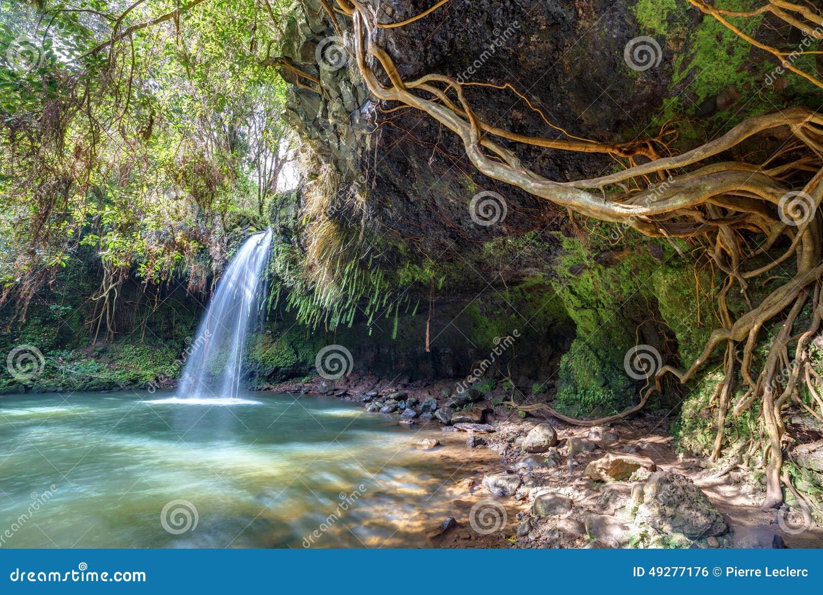 twin falls wilderness