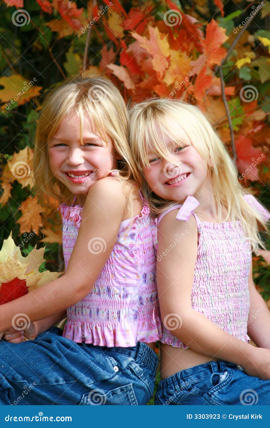 Twin girls stock image. Image of female, twins, fall, smile - 3303923