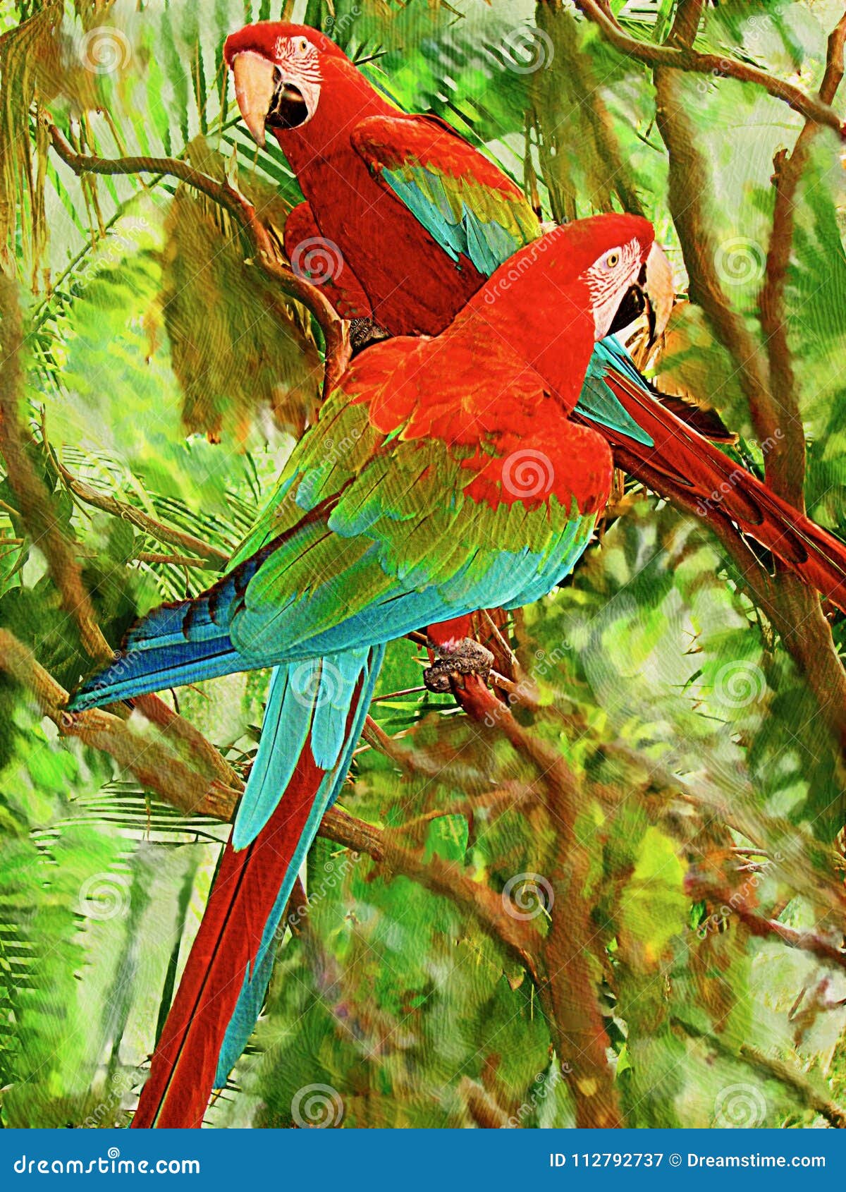 113 Twin Parrots Photos Free Royalty Free Stock Photos From Dreamstime,Bathroom Decorating Ideas For Fall