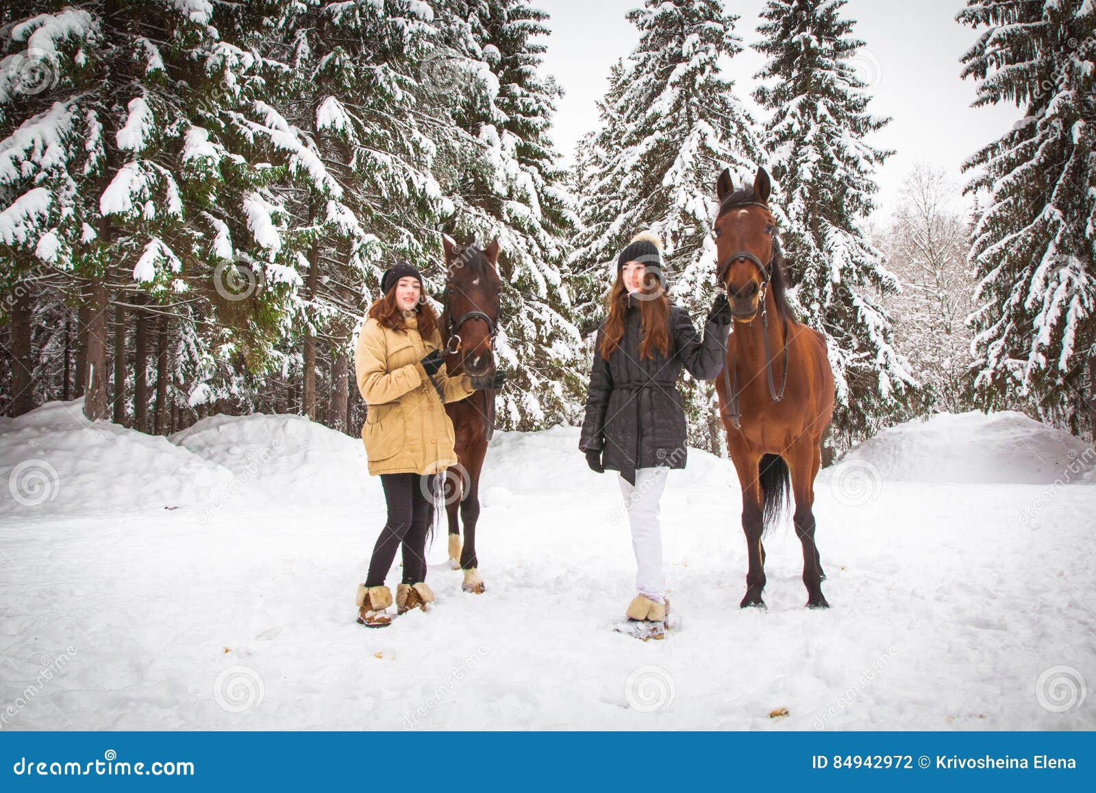 Twin Sisters and Horse in the Winter Forest Stock Photo Image of tree, equestrian 84942972