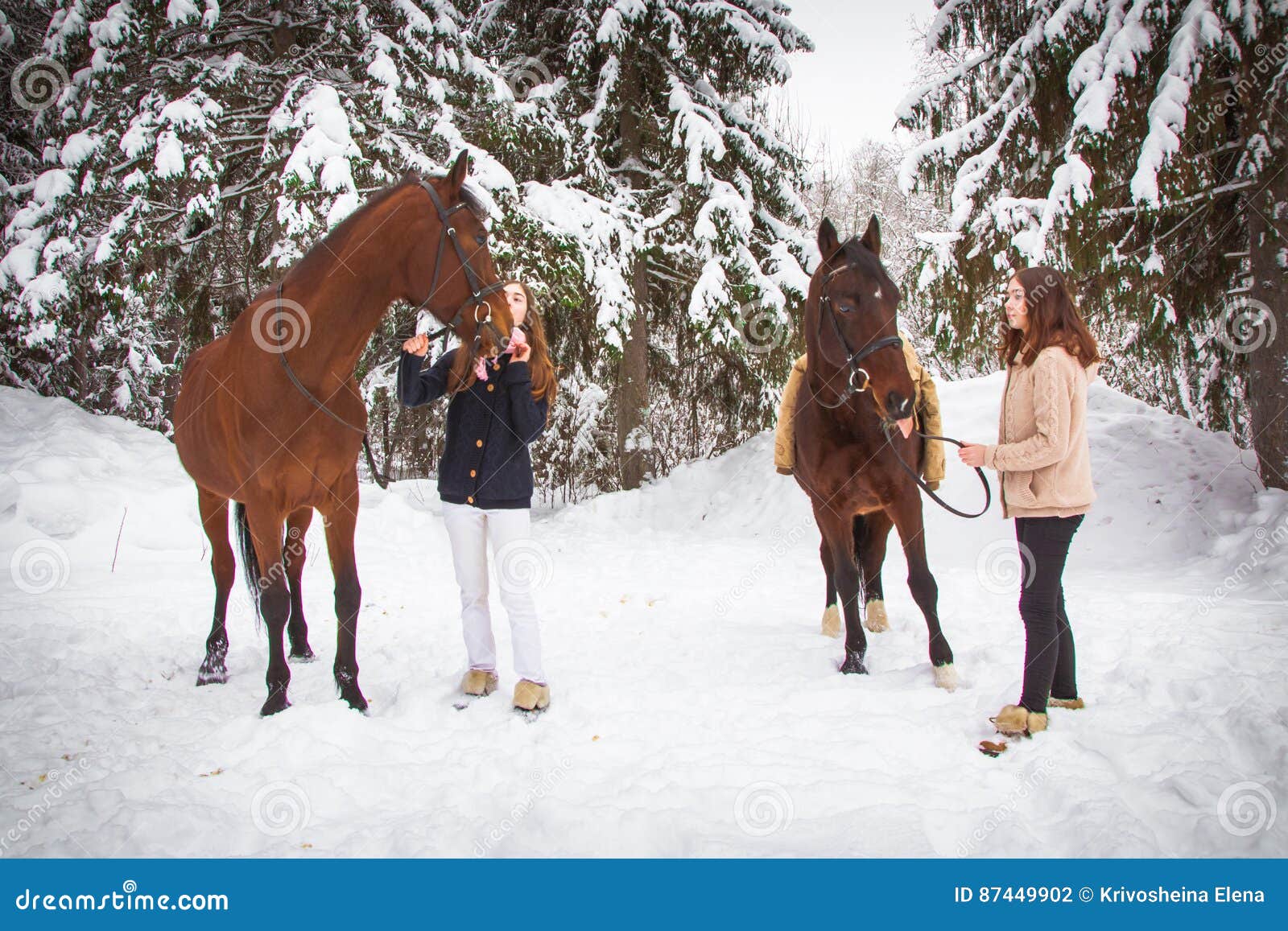 Twin Sisters and Horse in the Winter Forest Stock Photo Image of sisters, white 87449902