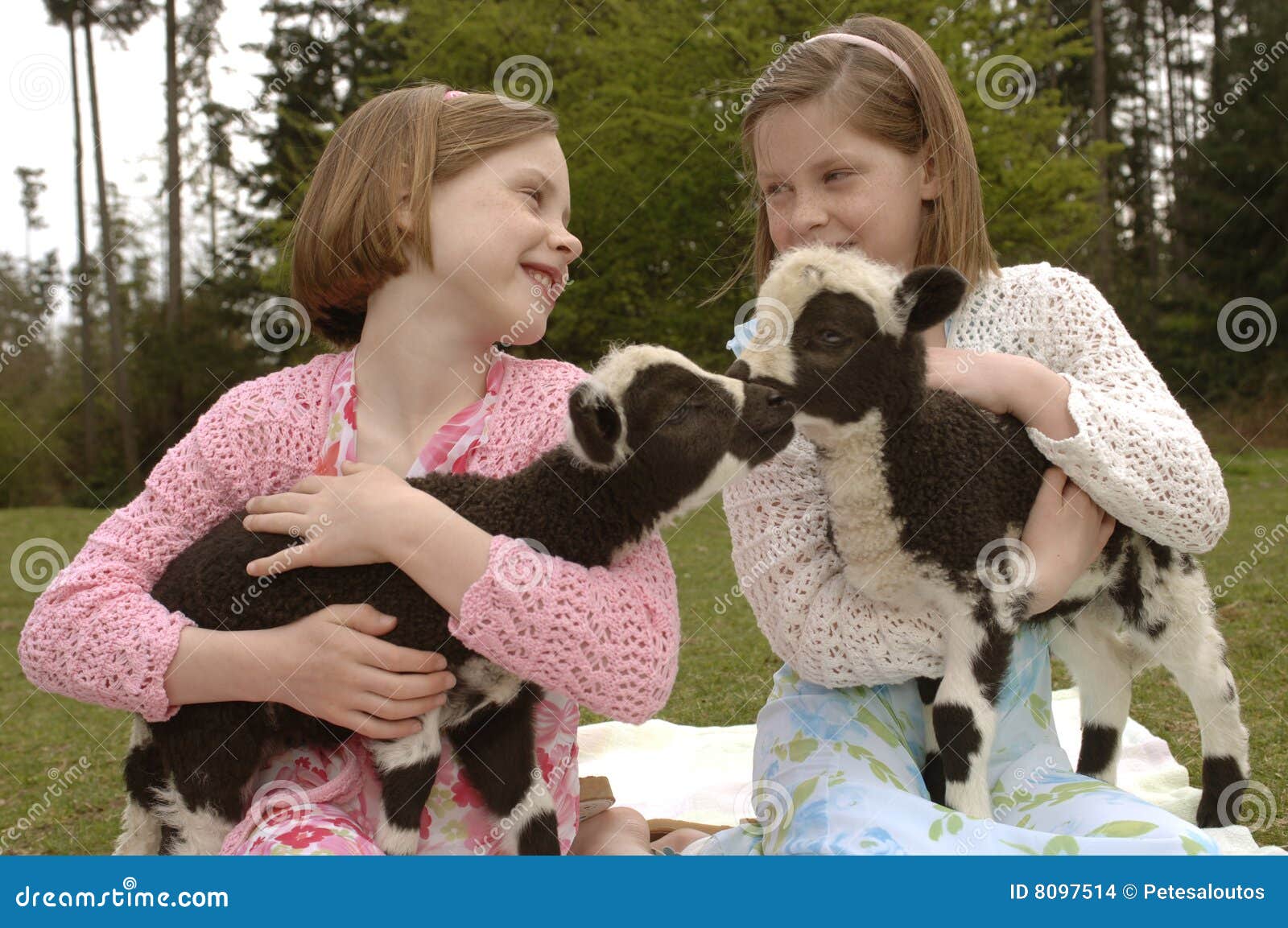 Twin Sisters with Lamb on Easter Stock Photo Image of spring, twins