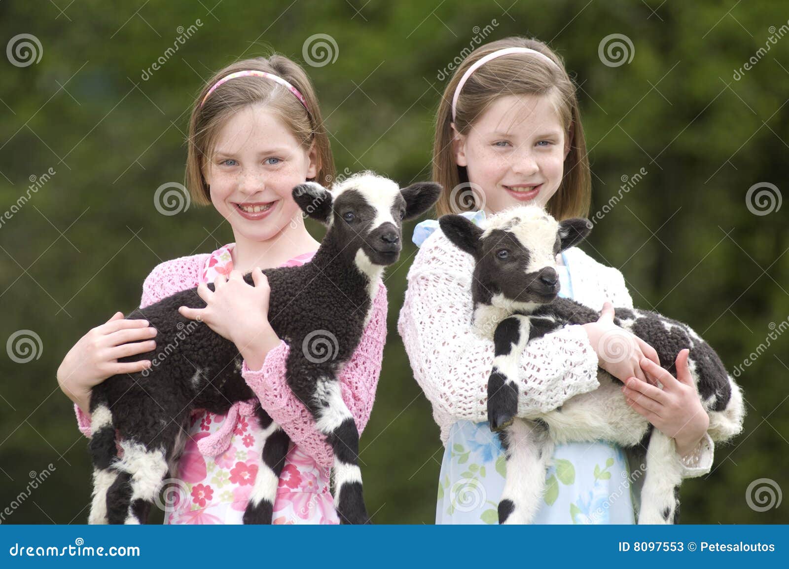 Twin Sisters with Lamb on Easter Stock Image Image of sibling, baby