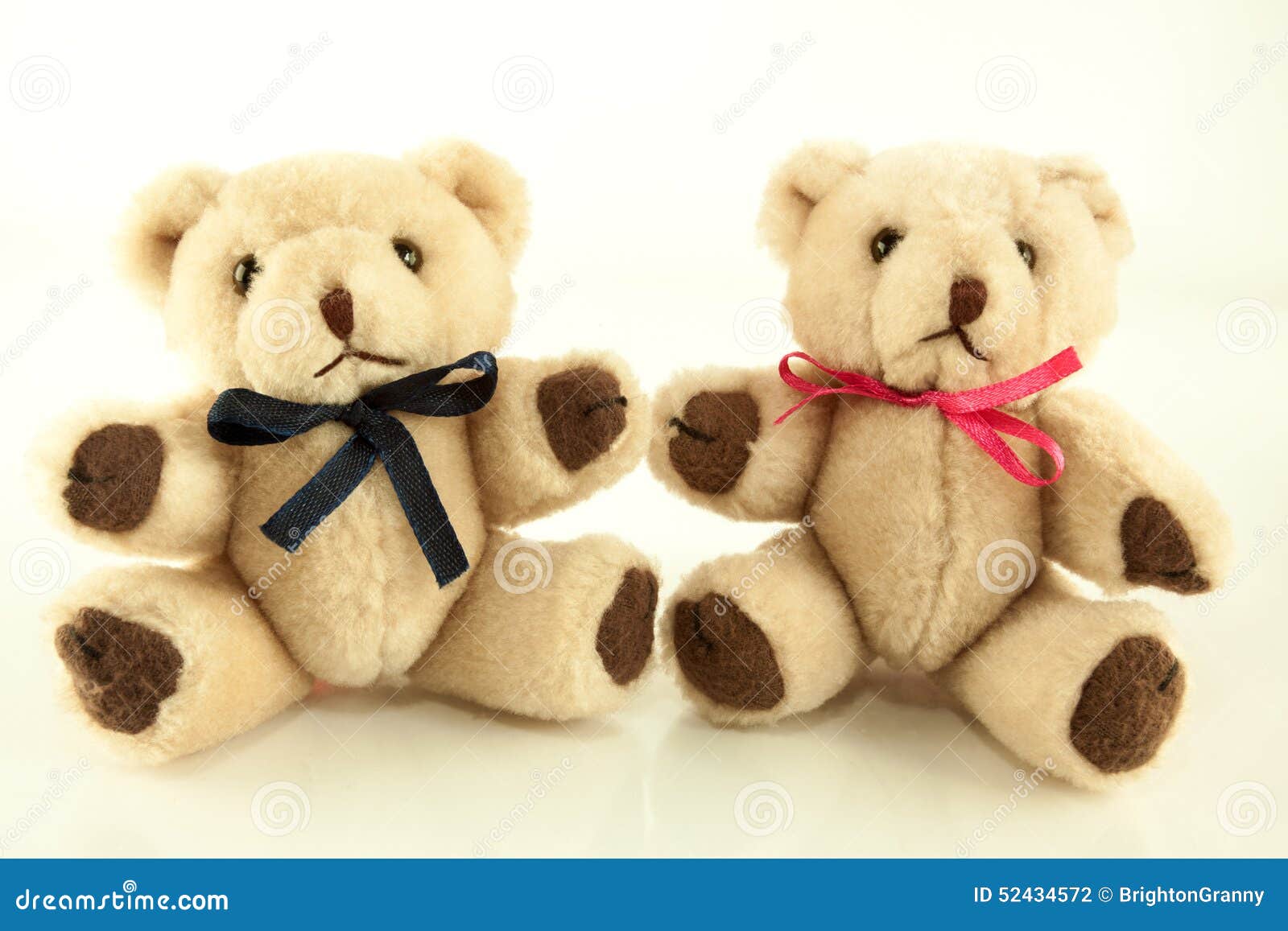 twin teddy bears