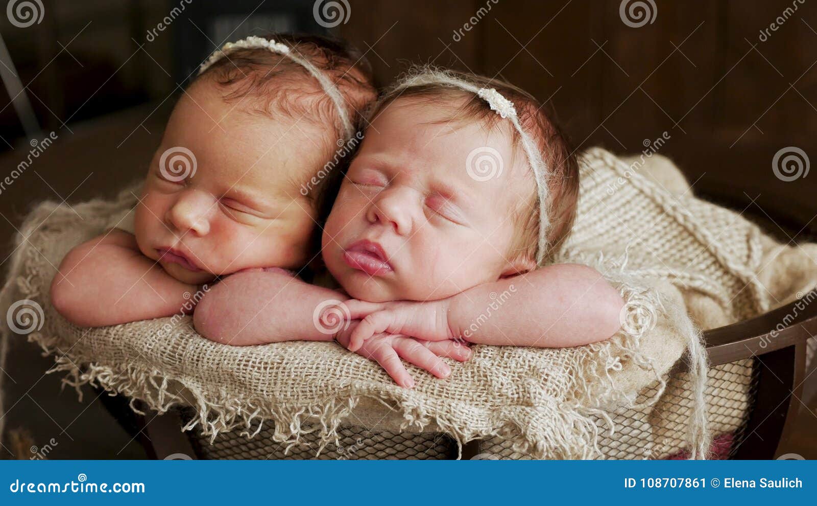 Twins Sisters Newborn in the Winding Stock Image Image of newborn