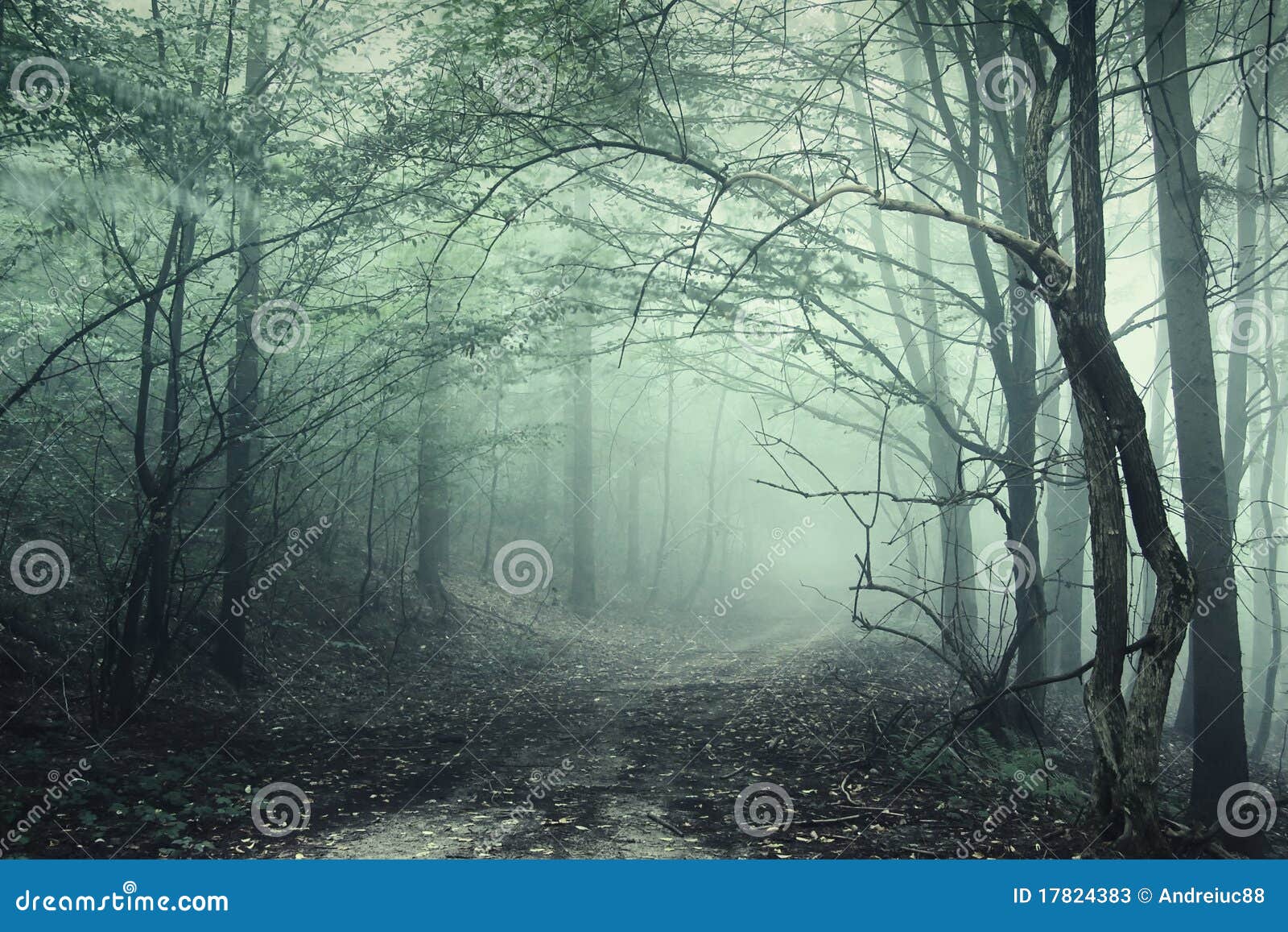 twisted circular tree branches in a foggy forest w