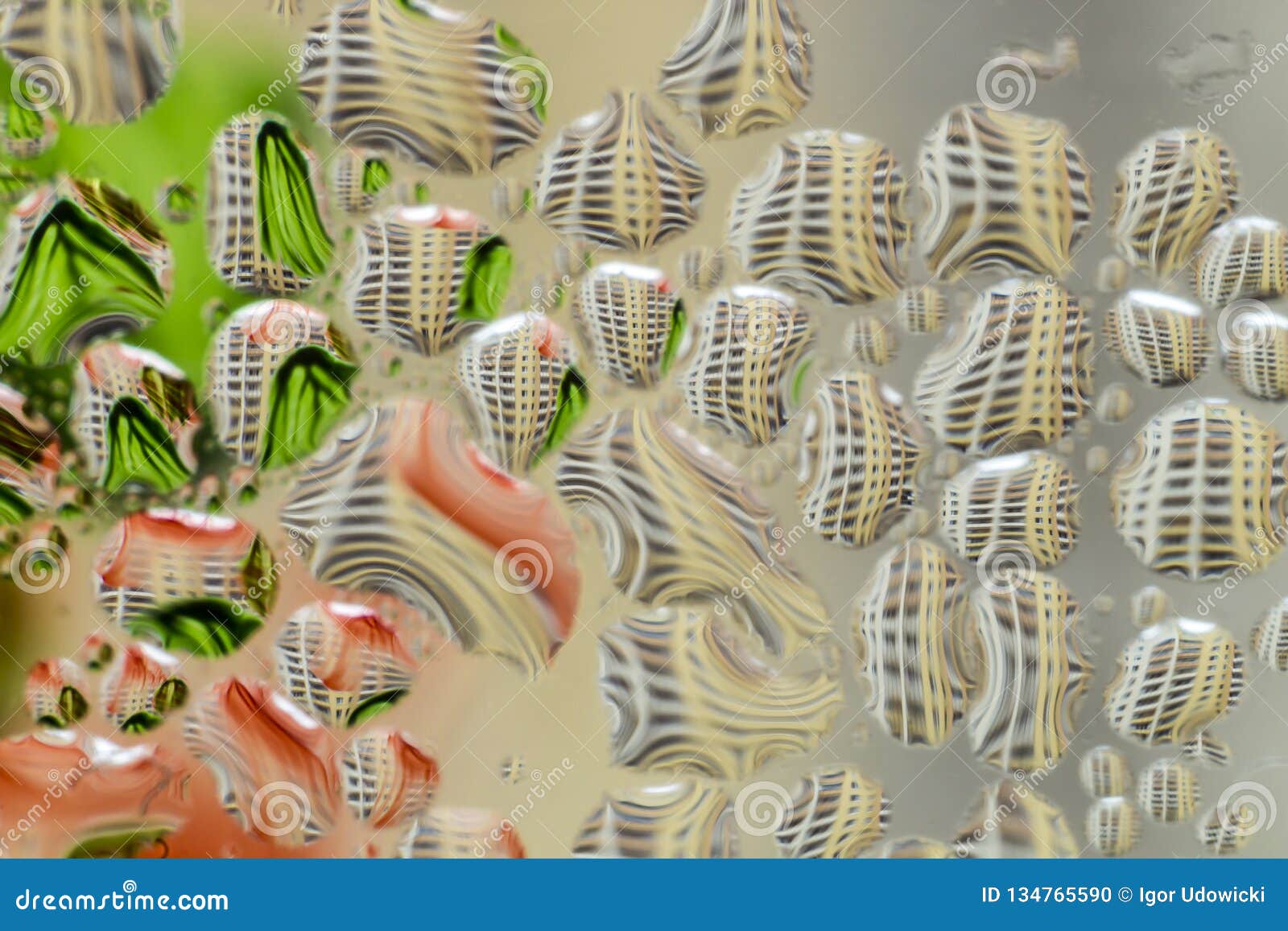 macro photo. abstract aqua pattern as background.