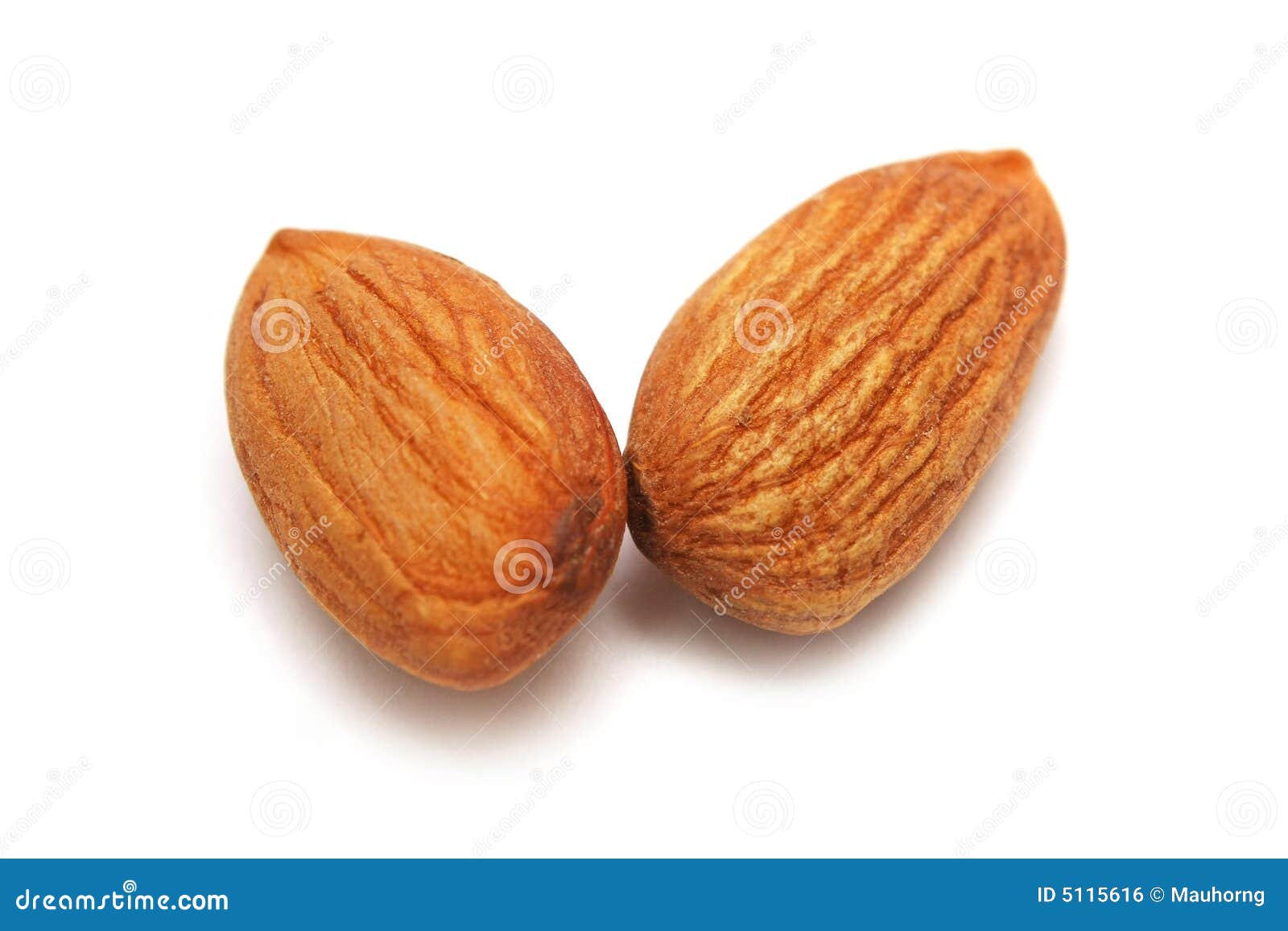 Two Almond Nuts stock photo. Image of communis, health 5115616