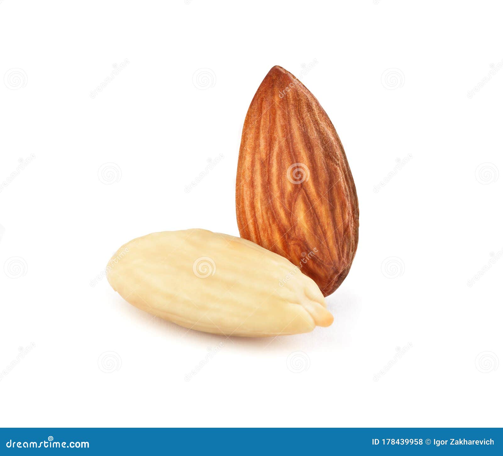 Two Almonds on a White Background Stock Photo Image of heap, view
