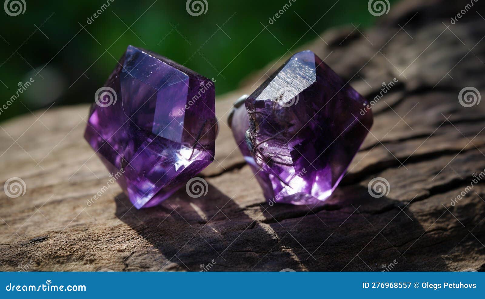 Two Amethysts Sitting on a Tree Branch in the Sun Stock Illustration