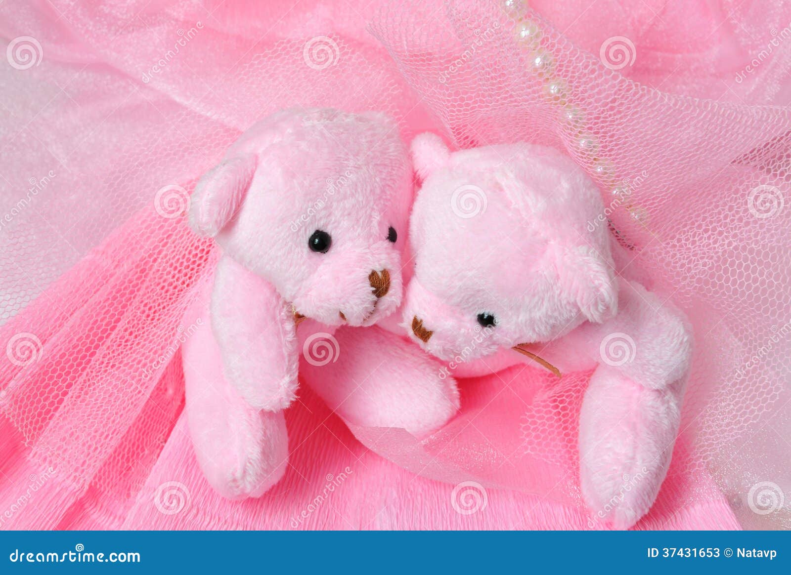 Two Amusing Pink Teddy Bear on Pink Stock Image - Image of bear ...