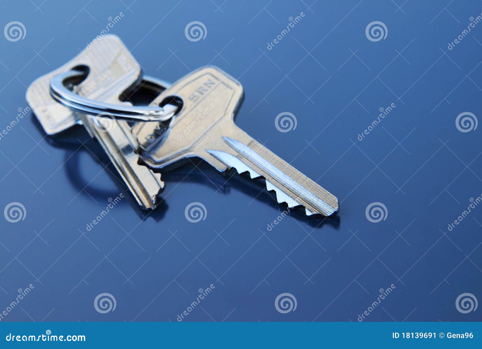 Two Apartment Keys with Ring Stock Image Image of private, keys 18139691