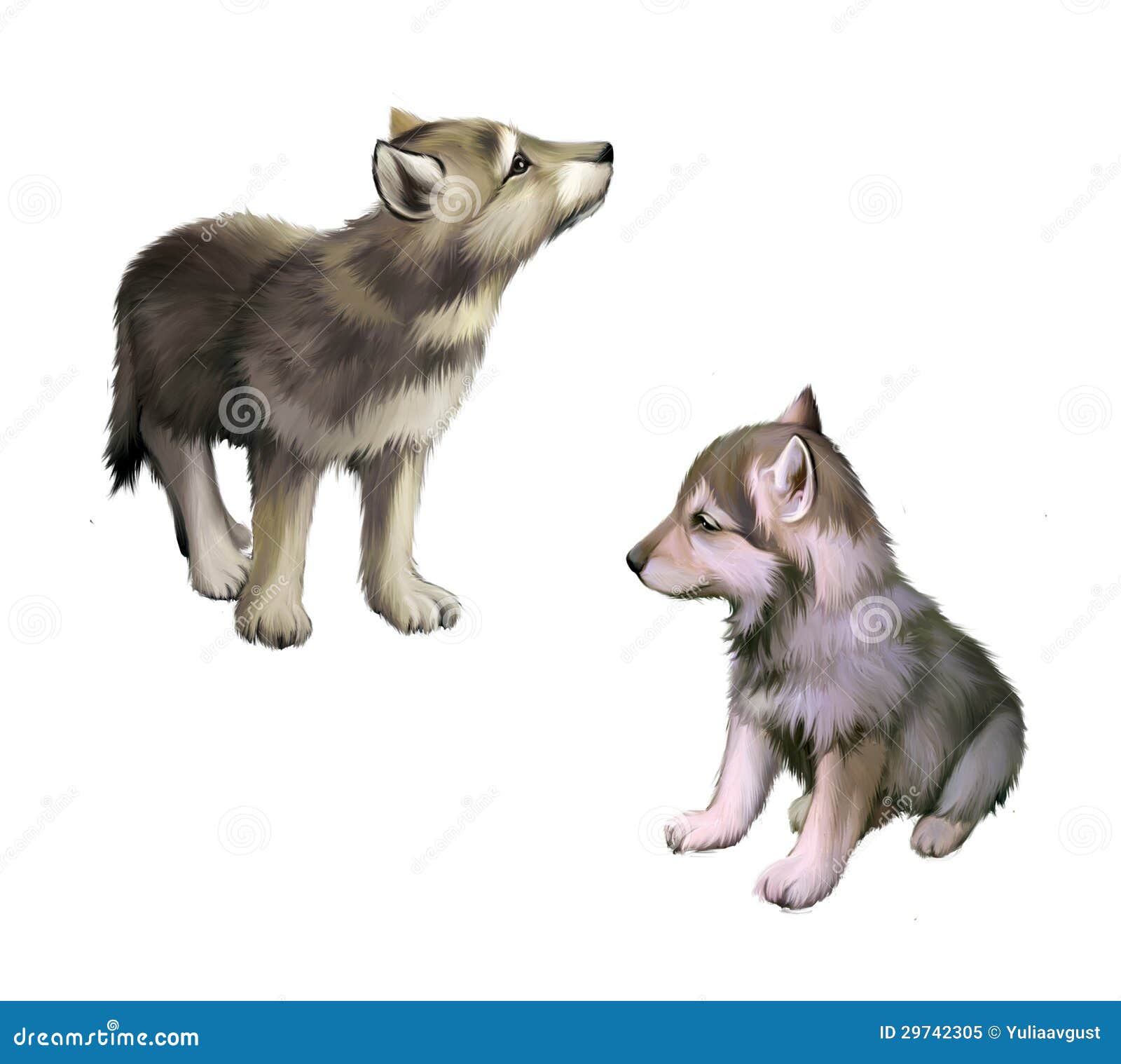 Gray wolf Puppy Anime Drawing BLUE WOLF transparent background PNG clipart   HiClipart